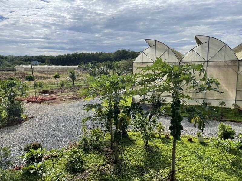Hình ảnh công ty TDG Farm